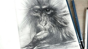 Monkey Drawing|| Time-lapse || Speed Art || Art with AD|| pencil drawing