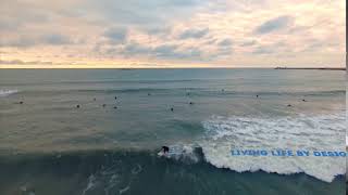 Surfing Logo Intro