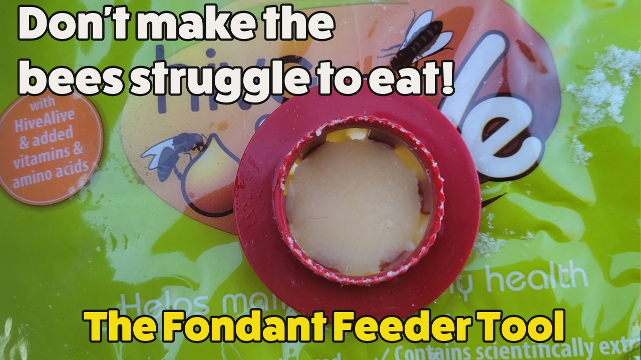 The Benefits of the Hive Alive Fondant Tool & More!