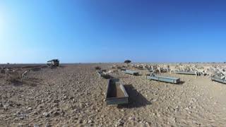 Arabian Oryx Reserve (4)