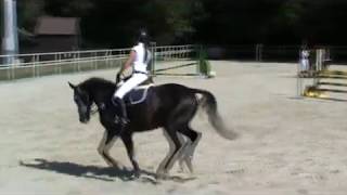 CASPÉR 2.wmv