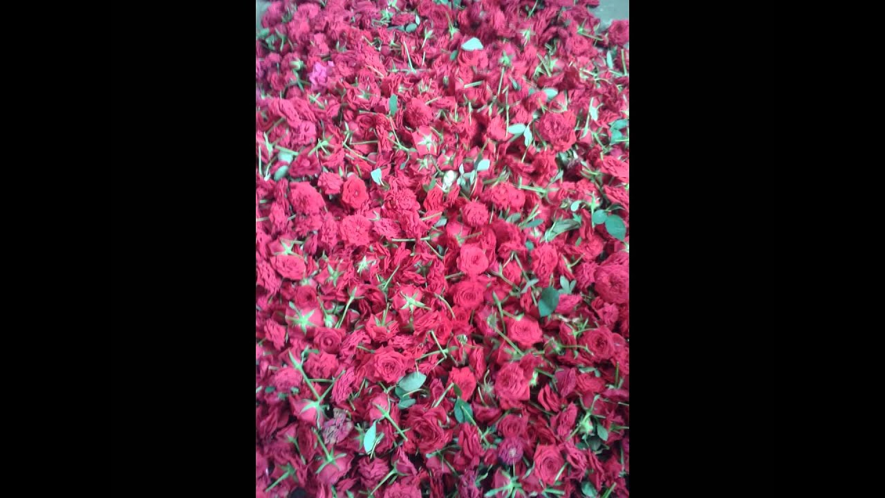 Giraben Indrajeet Barot, Village- Bilasiya, Ta- Daskroi, Di- Ahmedabad