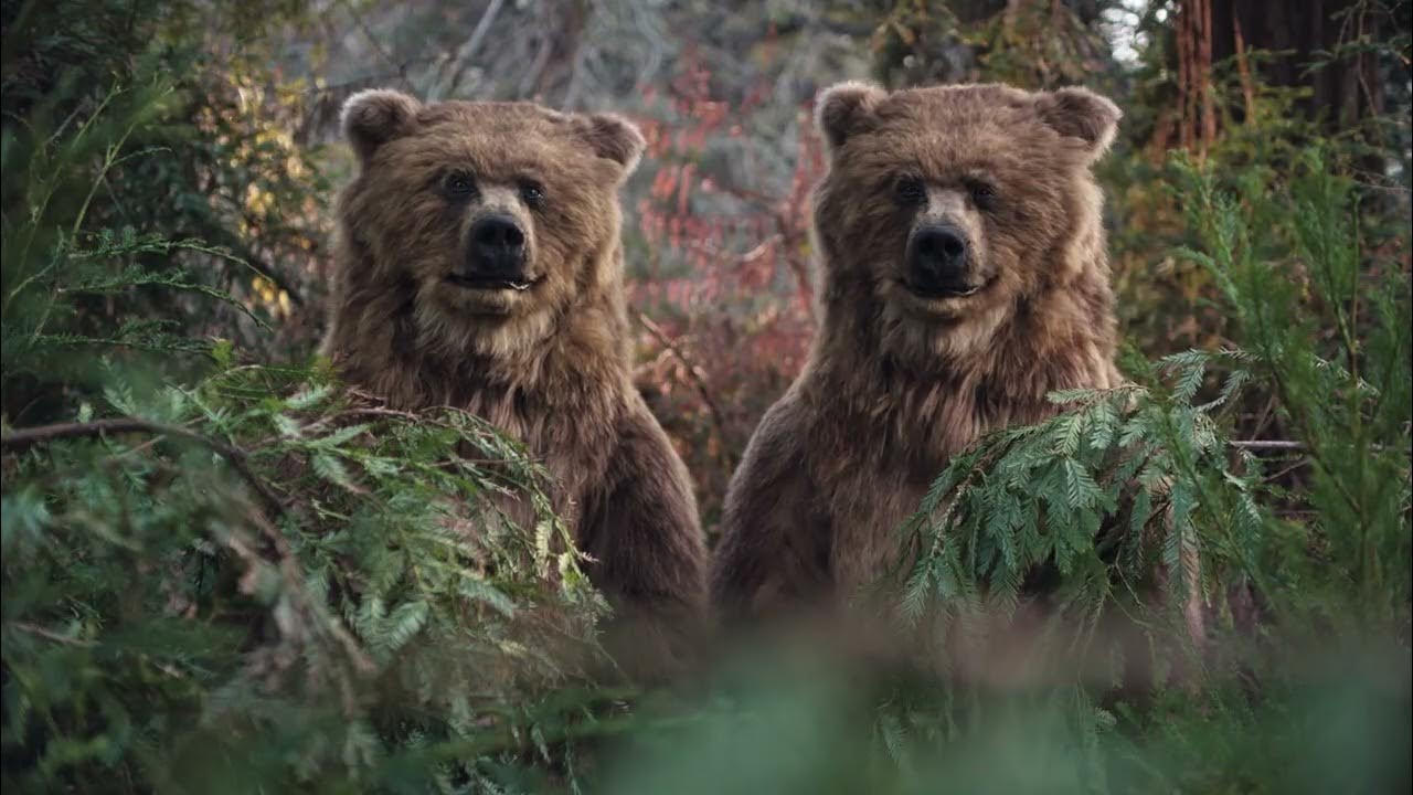 Lewy czy prawy, w każdym razie dobry wybór YouTube