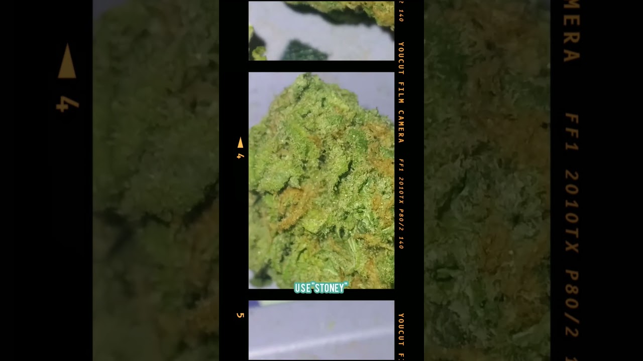 Громко-громко 💯🔥🎄 это, пожалуй, мой самый любимый цветок Thca КОГДА-ЛИБО