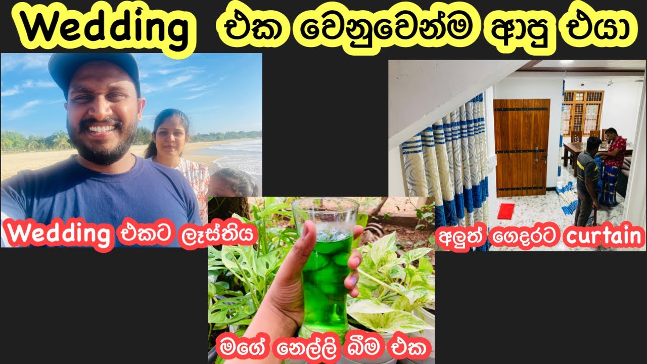 හිතුවෙවත් නැති වෙලාවක ගෙදරටම ආවා | Brand new vehical experience  | Buying new TATA Demo Lorry