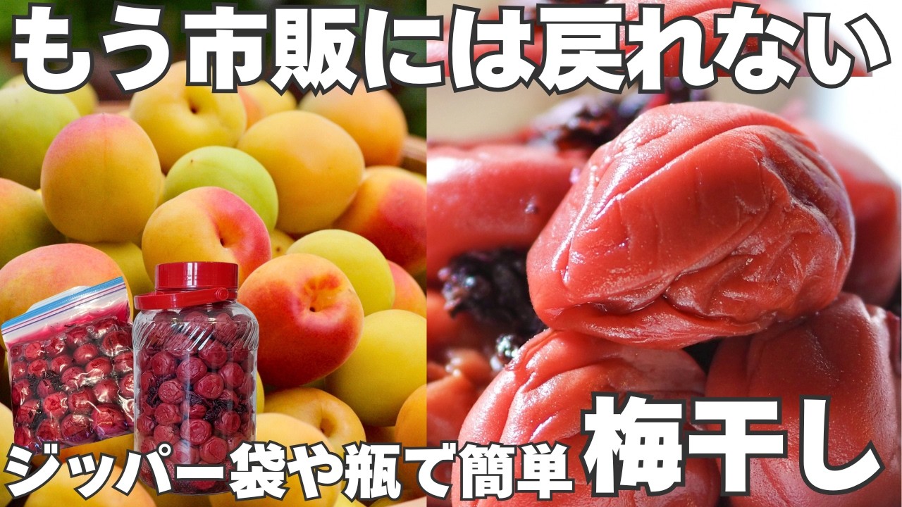 Foolproof] How to Easily Make Umeboshi in Bags or Jars | Including