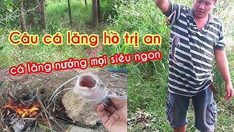 Câu cá lăng hồ trị an | Săn bắt nấu nướng hoang dã  | ĐỈNH TRÀ VINH TV #46