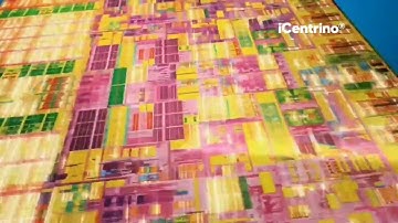 (YTP) InlelCoceInsus