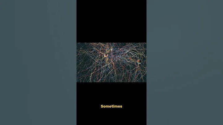 The Surprising Science Behind Precognitive Dreams