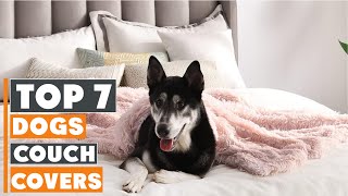 7 Best Couch Covers for Dogs: The Ultimate Guide for Pet Owners by Homify 22 views 4 weeks ago 9 minutes, 21 seconds