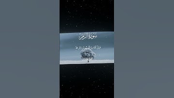 سورة الزمر|22|القارئ:#محمد_اللحيدان #قران #quran  #قران_كريم #تلاوة #تلاوة_هادئة #آية #تلاوة_خاشعة