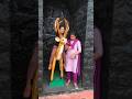 enakoru magan irukan singam mathiri... i love my son. #trendingshorts