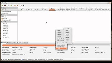 Deluge bug in Ubuntu 11.10