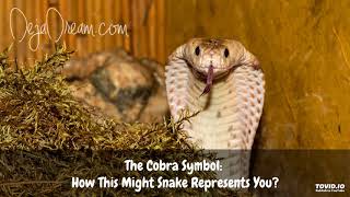 The Cobra Symbol How This Might Snake Represents You