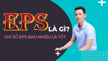 Chỉ số EPS là gì? Các loại EPS. Chỉ số EPS bao nhiêu là tốt (CHỨNG KHOÁN CHO NGƯỜI MỚI BẮT ĐẦU)