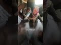 بكلمات مؤثرة الحاجة أم أسامة النجار تودع نجليها محمد وتيسير بعد استشهادهما في غارة إسرائيلية