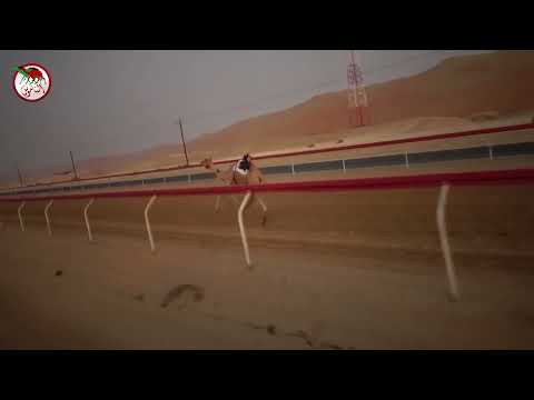 شارة الإتحاد ميدان ليوا الجمعة 2023 09 01 الشوط 9 ترياق لـ محمد هادي سليم المنهالي 