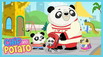 Chip & Potato - Big Sister Chip | Cartoons for Kids | WildBrain Wonder