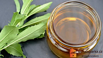 ¿Qué tiene que ver con la stevia con lo natural?