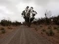 جولة في محمية الغزلان و شاطئ تكاط