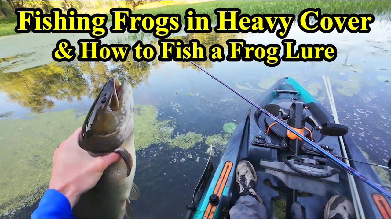 Fishing Frog Lures for Bass Pike Bowfin and How to Fish a Frog Bait