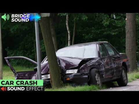 Car Crashes into Tree - song and lyrics by Sound Effects Library