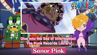 Dive into the Sea of Information! The Punk Records Library!〜Senor Pink〜