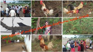 మన పల్లెలో ఇలాoటి వాతావరణం అందమైన కోకిలమ్మ రాగాలు కోడిపుంజు కూతలు ఇవన్నీ ఎంత అందంగా ఉన్నాయో చూడండి screenshot 3