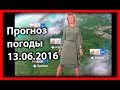 Прогноз погоды. 13.06.2016