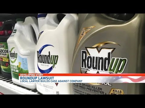 Video: Roundup дарактын дүмүрин өлтүрө алабы?