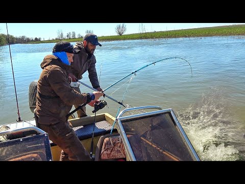 ДА СКОЛЬКО ИХ ТУТ! КЛЮЮТ ЛАПТЫ ТОЛЬКО ОПУСКАЙ! Рыбалка в Астрахани 2023 часть 3