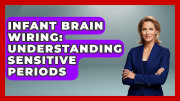 Infant Brain Wiring: Understanding Sensitive Periods - Brain Development Hub