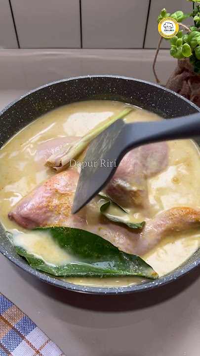 SIAP SIAP OPEN PO JUALAN MENU YANG SATU INI PASTI LARIS MANIS | AYAM GORENG OPOR ENAK BANGET