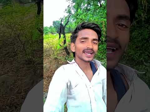 Tera Dil Mere Paas Rehne De -4K Video | #| lovesong | Rimi & Aftab S | Udit N. & Alka Y. |90's hits