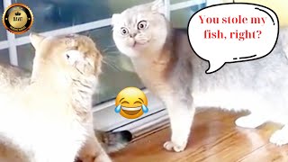 30 Funny Moments Caught On Camera #02