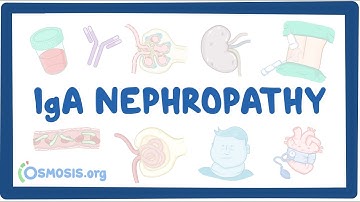 IgA nephropathy - causes, symptoms, diagnosis, treatment, pathology