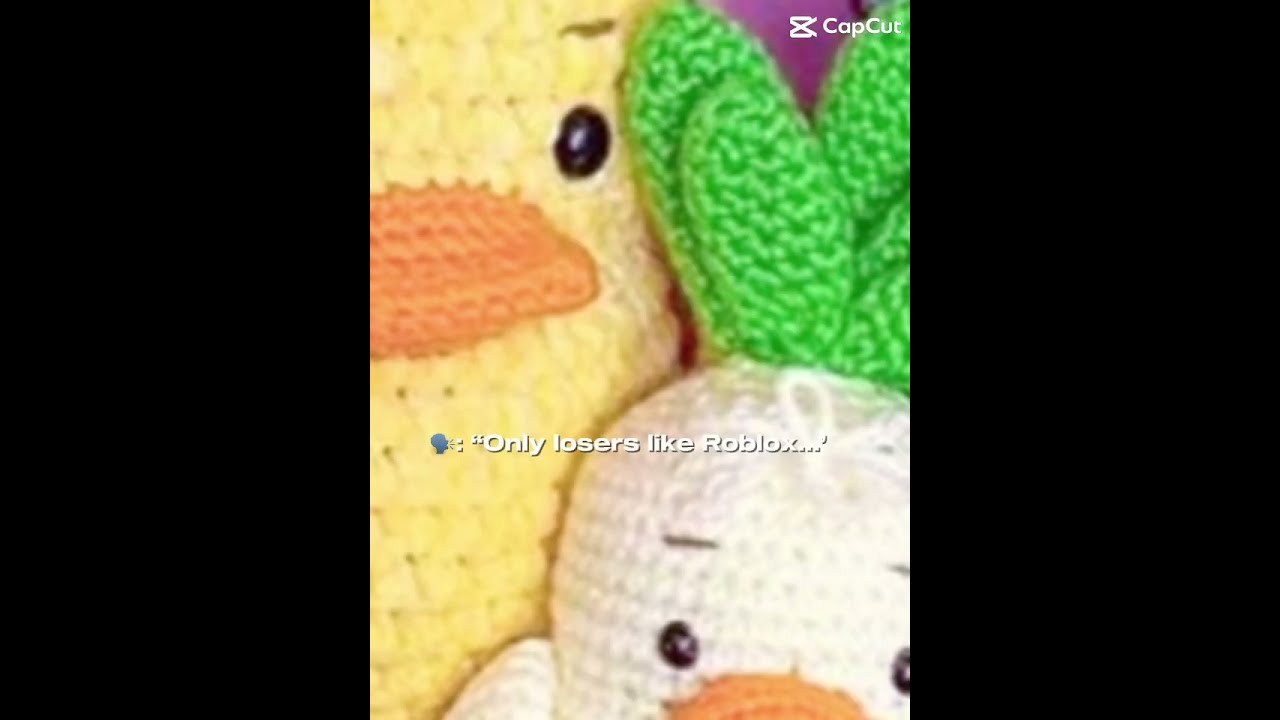 Who Here Likes Roblox 