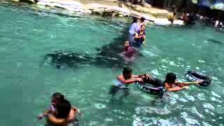 Download Lagu karang anyer MP3