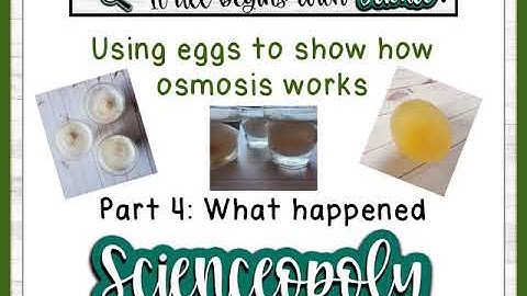 osmosis lab part 4