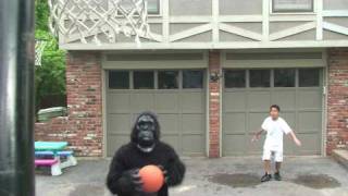 Gorilla PSA