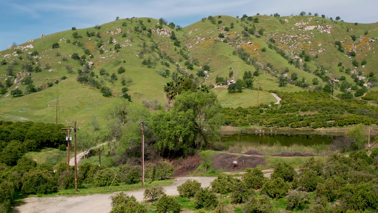 219.71 Acres Springville Citrus Ranch - YouTube