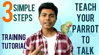 How To Train Parrot To Talk? | Training Tutorial | Teaching Alexanderine Parrot to Talk | (Hindi) screenshot 4