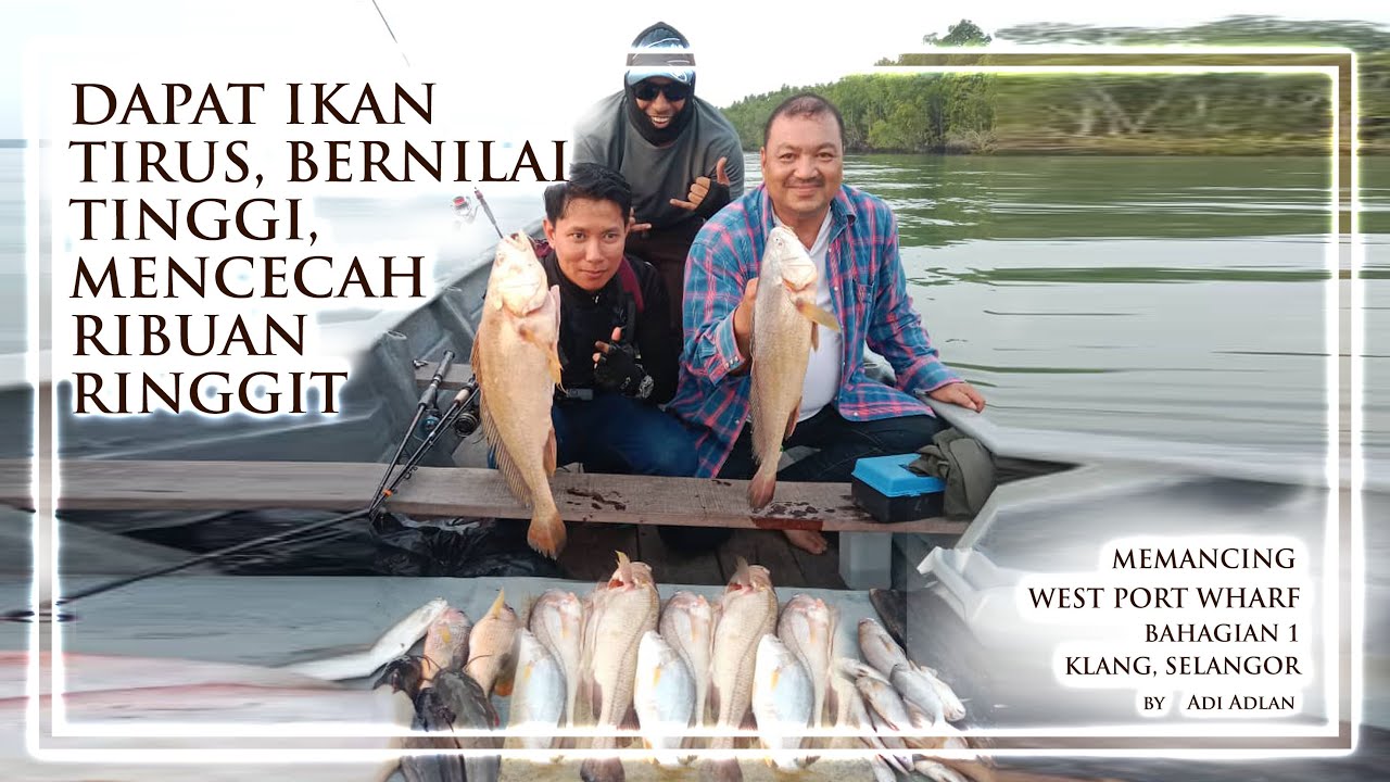 PULAU INDAH KLANG BAHAGIAN 1 - PANCING NAIK IKAN TIRUS - PELAMPUNG BERNILAI RM60,000 1KG