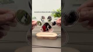 cuadro en forma de huella #cuadros #perro #huella #pets #mascota