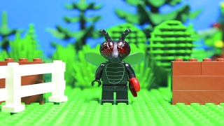 LEGO The Fly - On The Farm