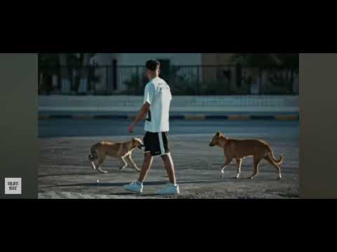 منصور صباح الخير مش كيف اللي فات