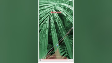 snapseed colour grading tutorial. #snapseedphotoediting #snapseed #photoediting #moodytones
