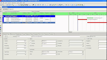 Primavera P6 Sort activities