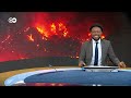 Why fleeing a wildfire can be deadly | DW News