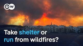 Why running from a wildfire can be the deadliest reaction | DW News